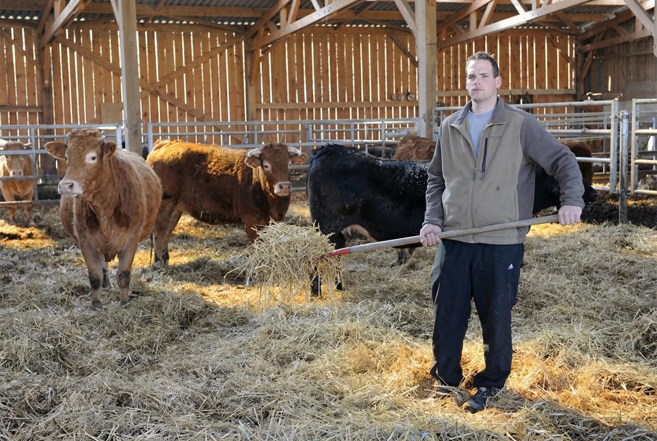 Le magasin à la ferme